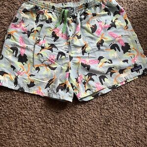 Patagonia Black Mesh Swim trunks Shorts with Subtle Color Accents